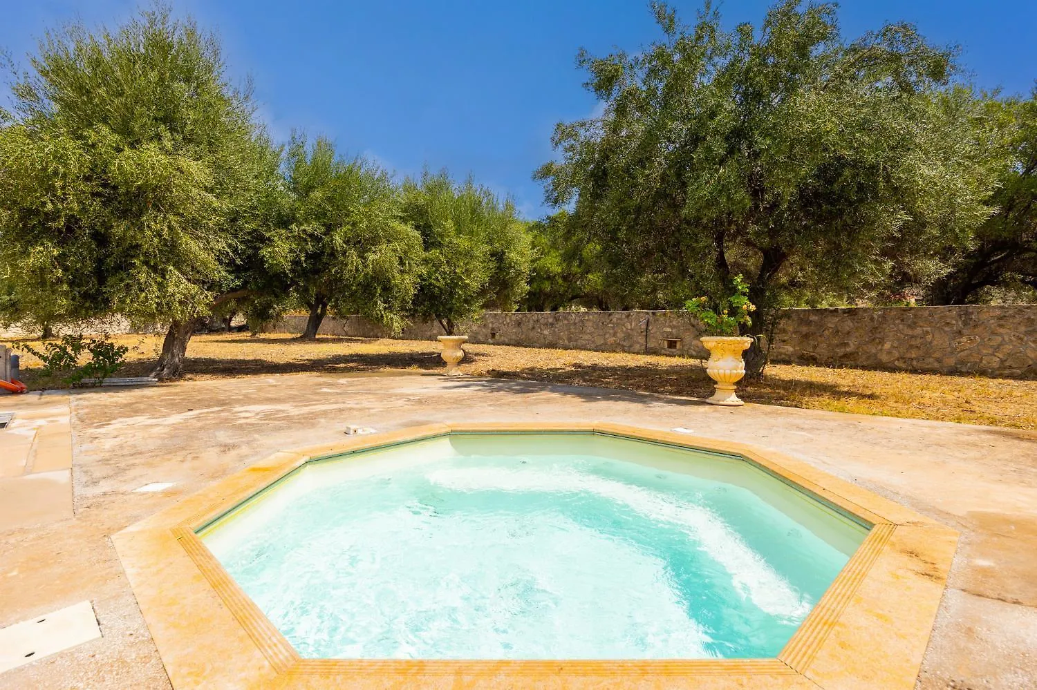 Villa Pomegranate Tree Katelios